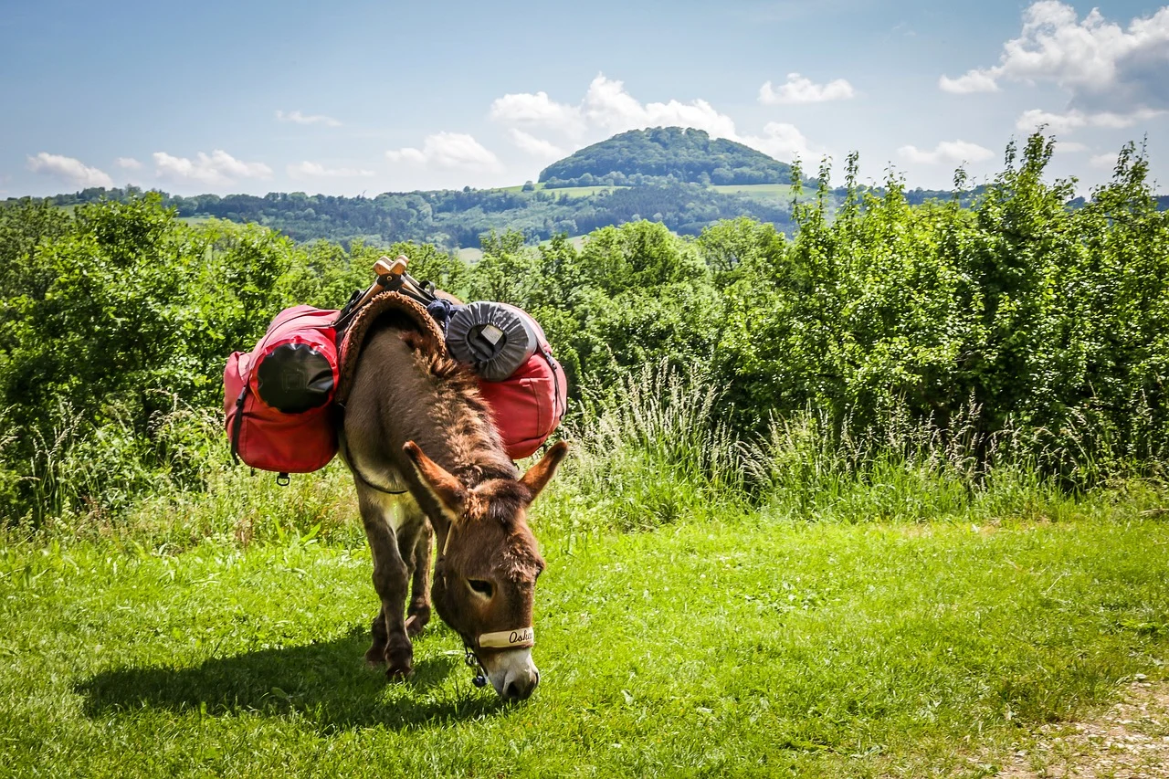 trekking