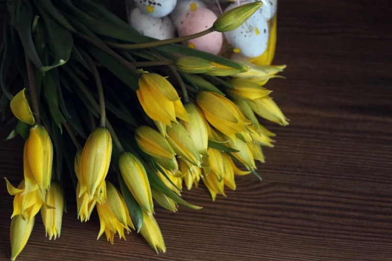 mamaliga cu branza si ou