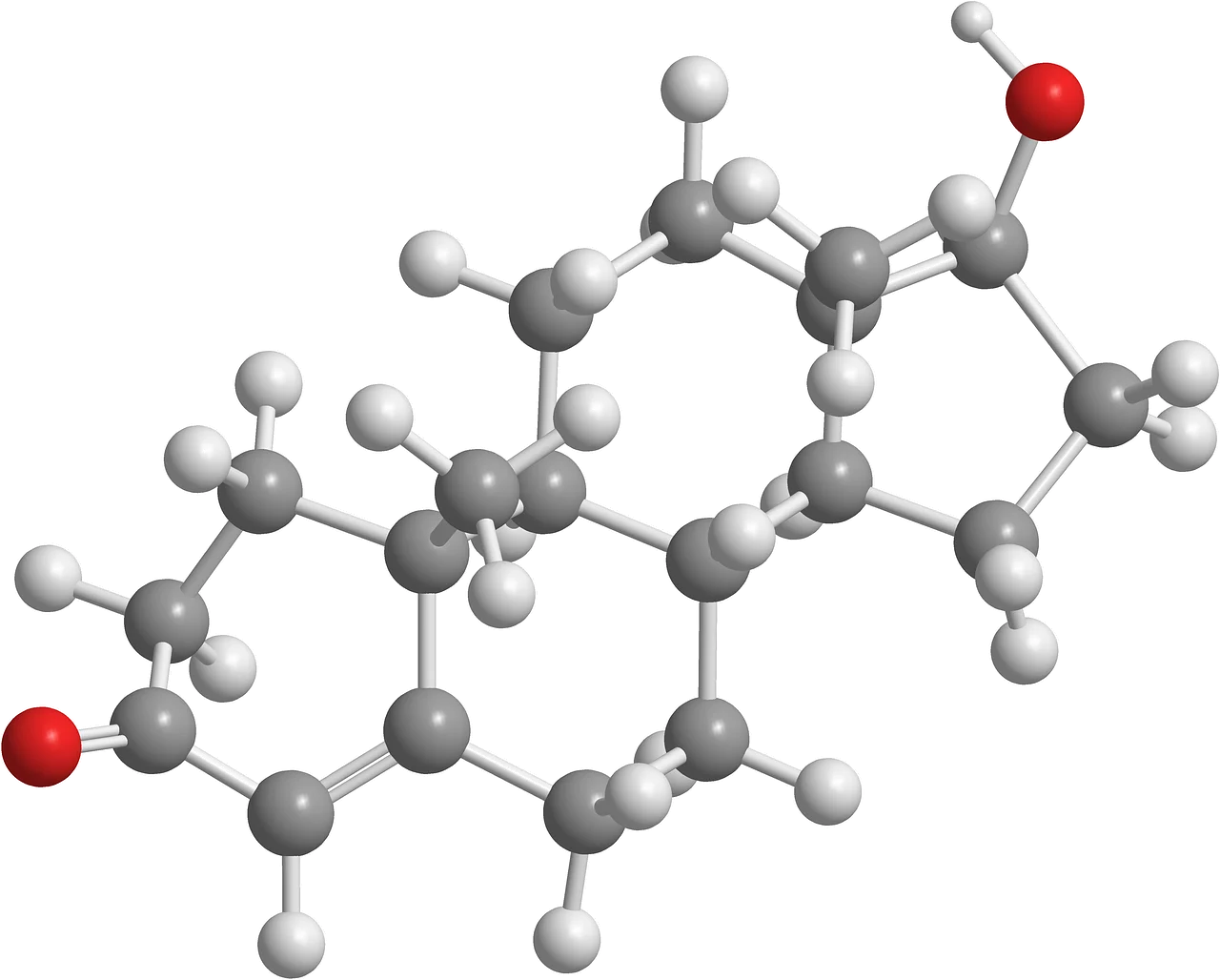 glandele endocrine si hormonii secretati