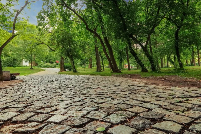 Predicat nominal definitie exemple si utilizare