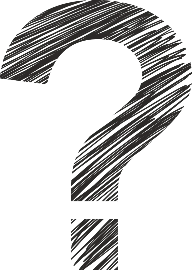 cine este sotia lui ionut langa