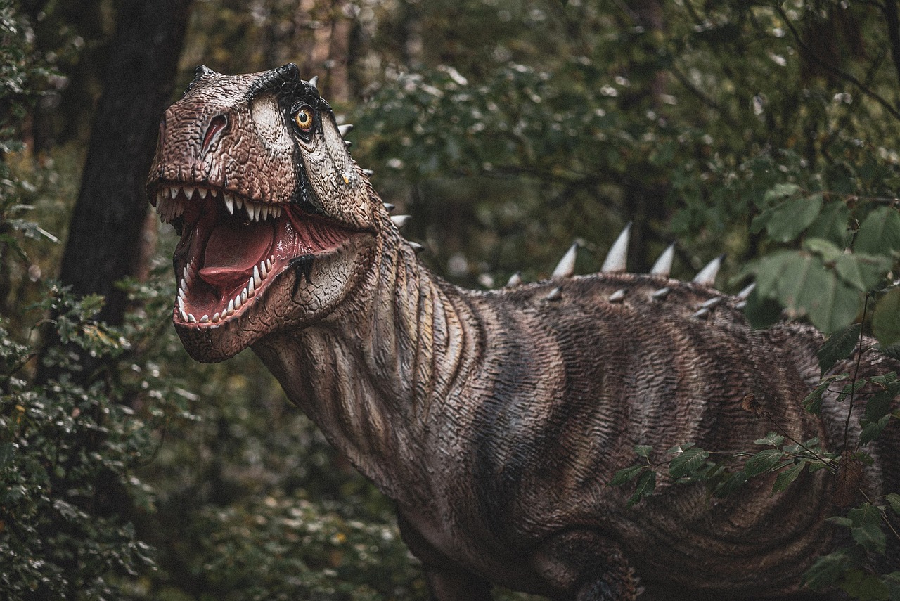 cati ani are becali