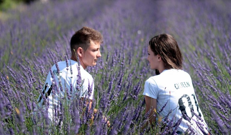 iubire cu parfum de lavanda actori
