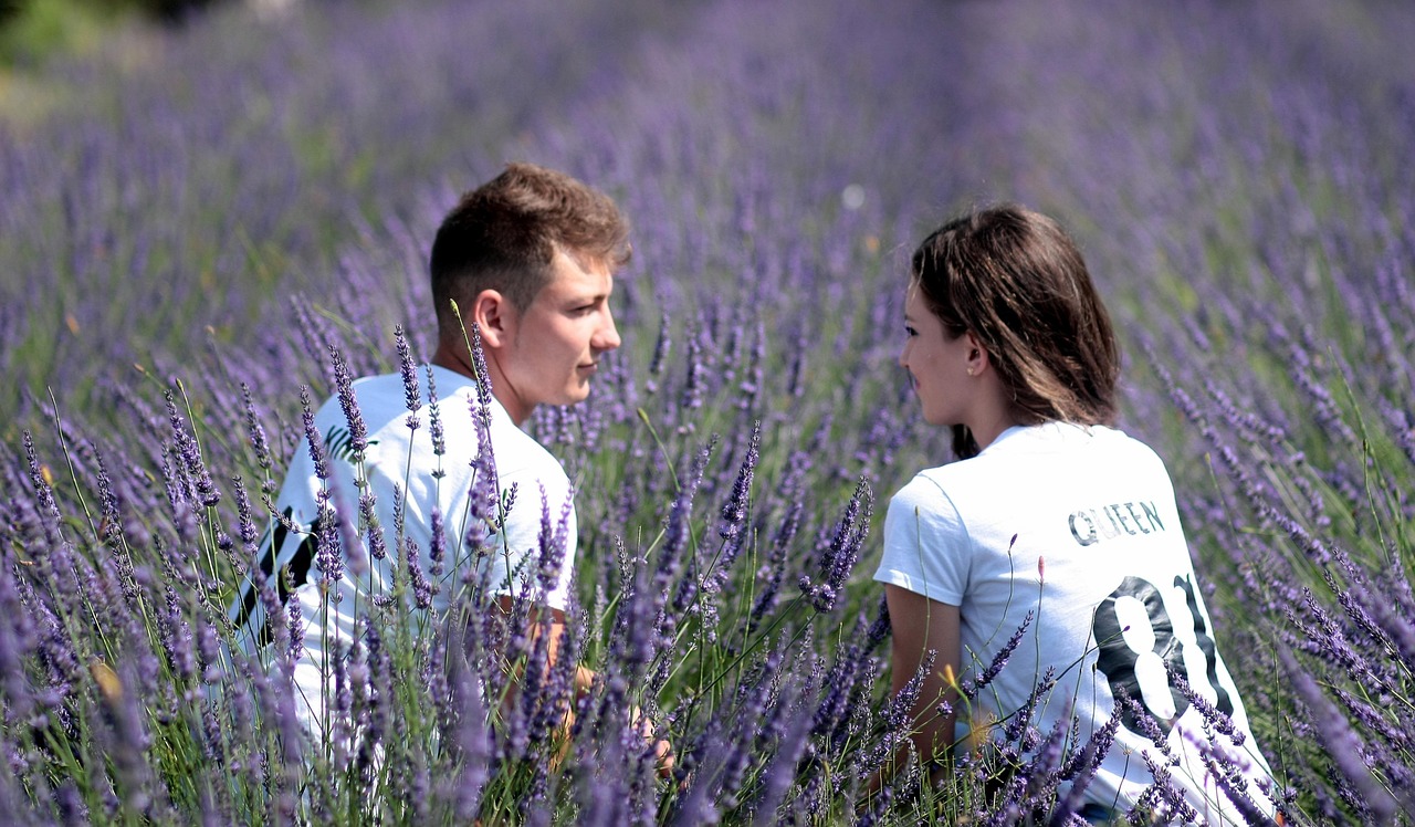 iubire cu parfum de lavanda actori
