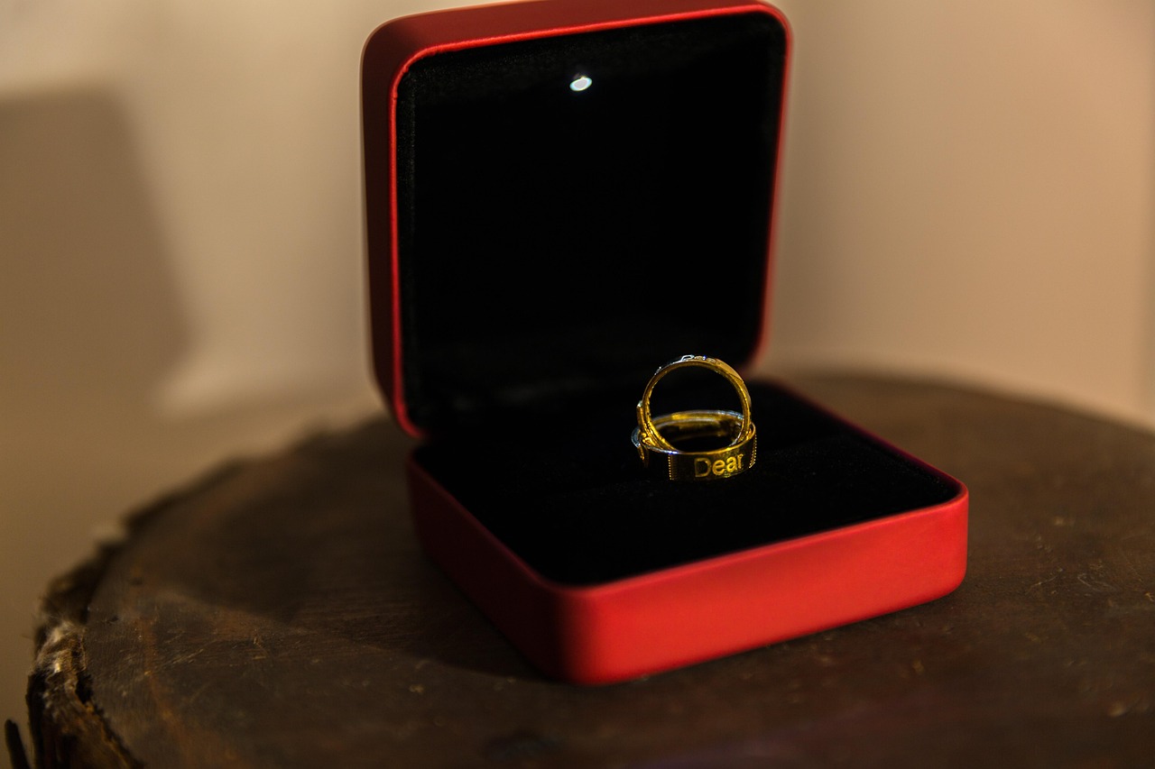 victor costache divort