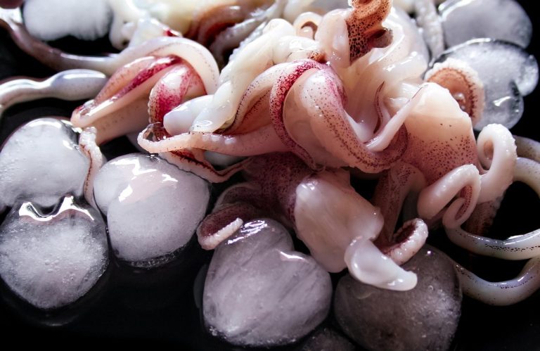 squid game real