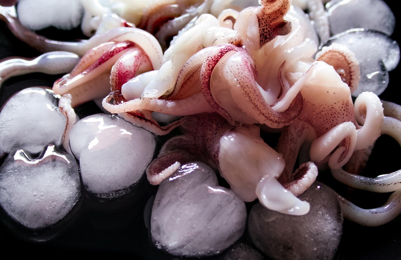 squid game real